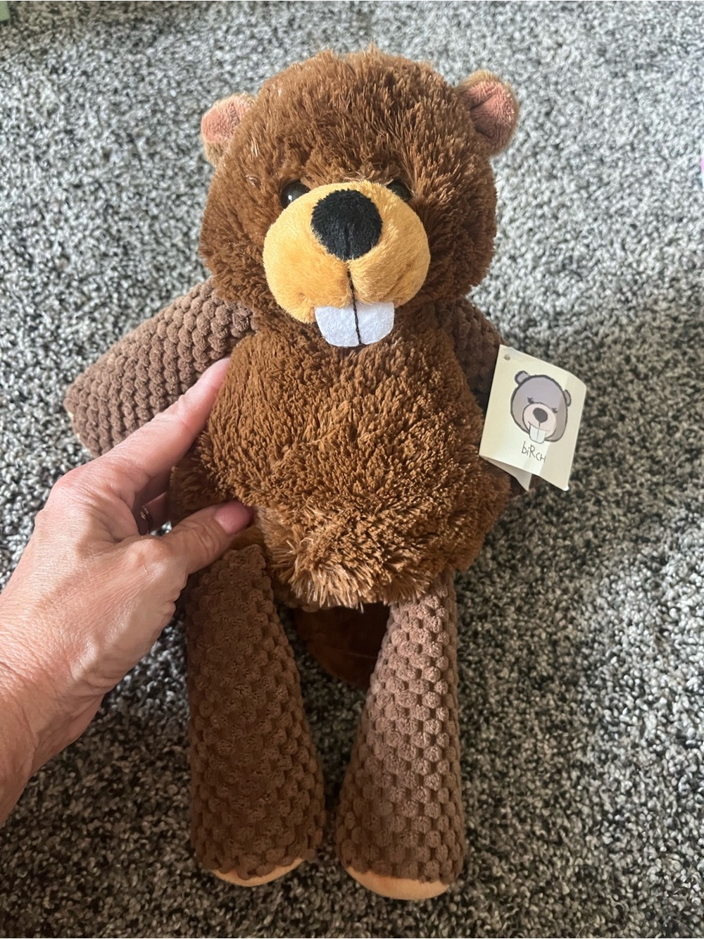 Scentsy buddy Birch